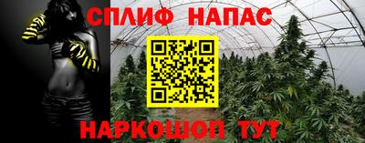спиды Комсомольск-на-Амуре