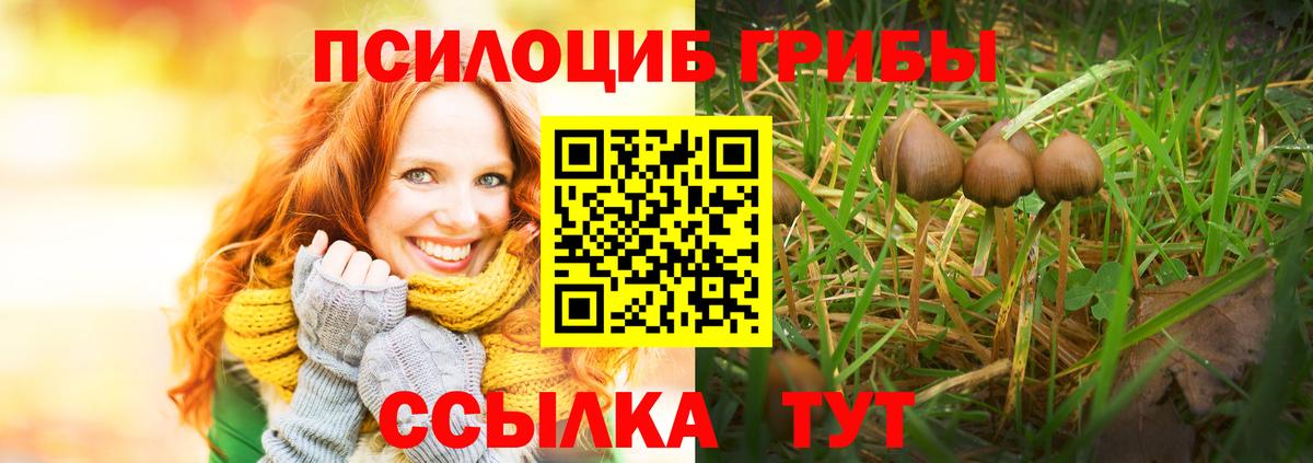 Якутск  закладка  Галлюциногенные грибы Psilocybe  Вход с VPN  Галлюциногенные грибы Psilocybe 